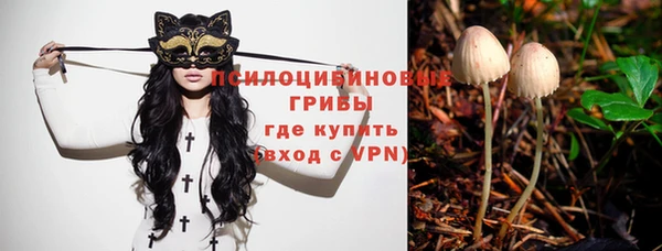 дурь Алексеевка