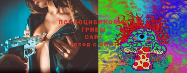 дурь Алексеевка