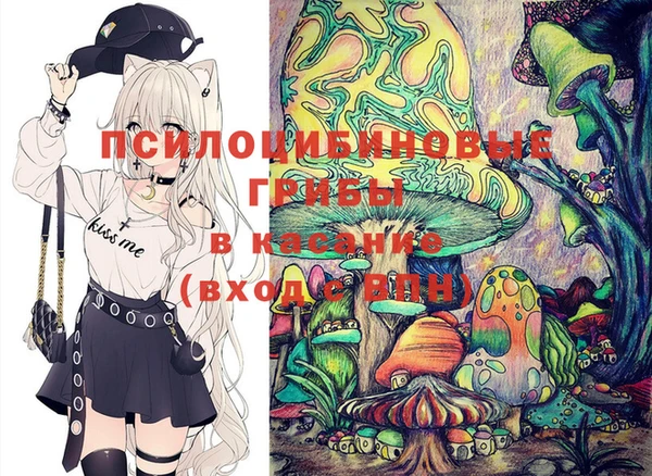 ПСИЛОЦИБИНОВЫЕ ГРИБЫ Алзамай