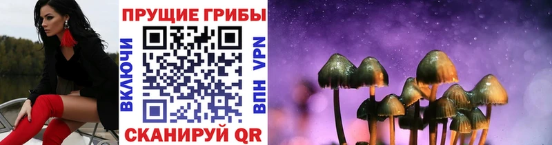 Псилоцибиновые грибы MAGIC MUSHROOMS  Иркутск 