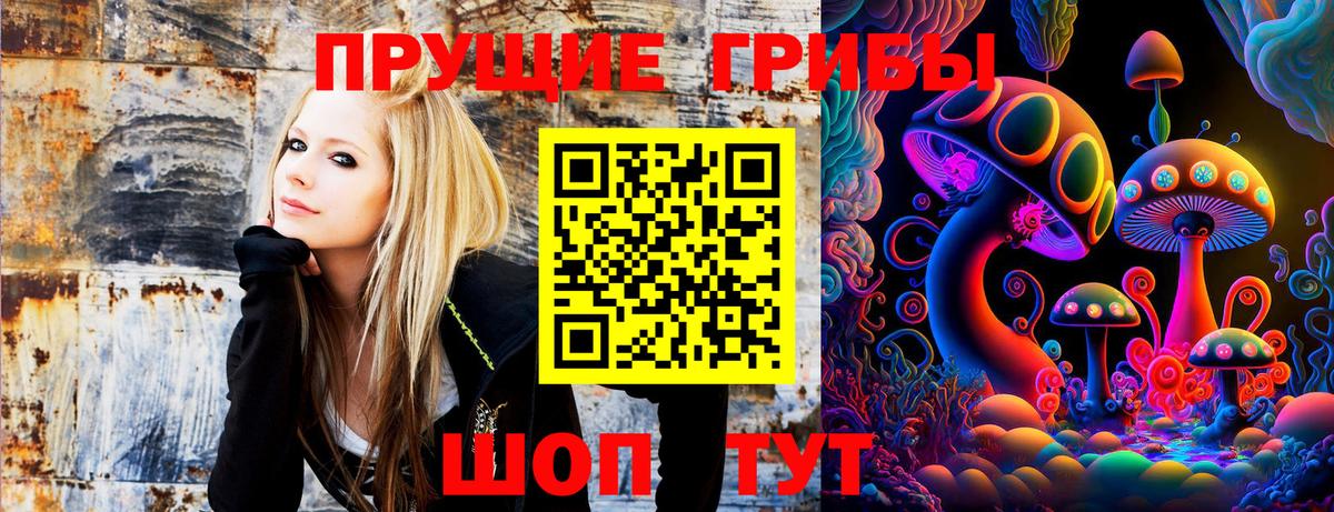 Иркутск  Галлюциногенные грибы ЛСД  Вход с VPN  Галлюциногенные грибы GOLDEN TEACHER 
